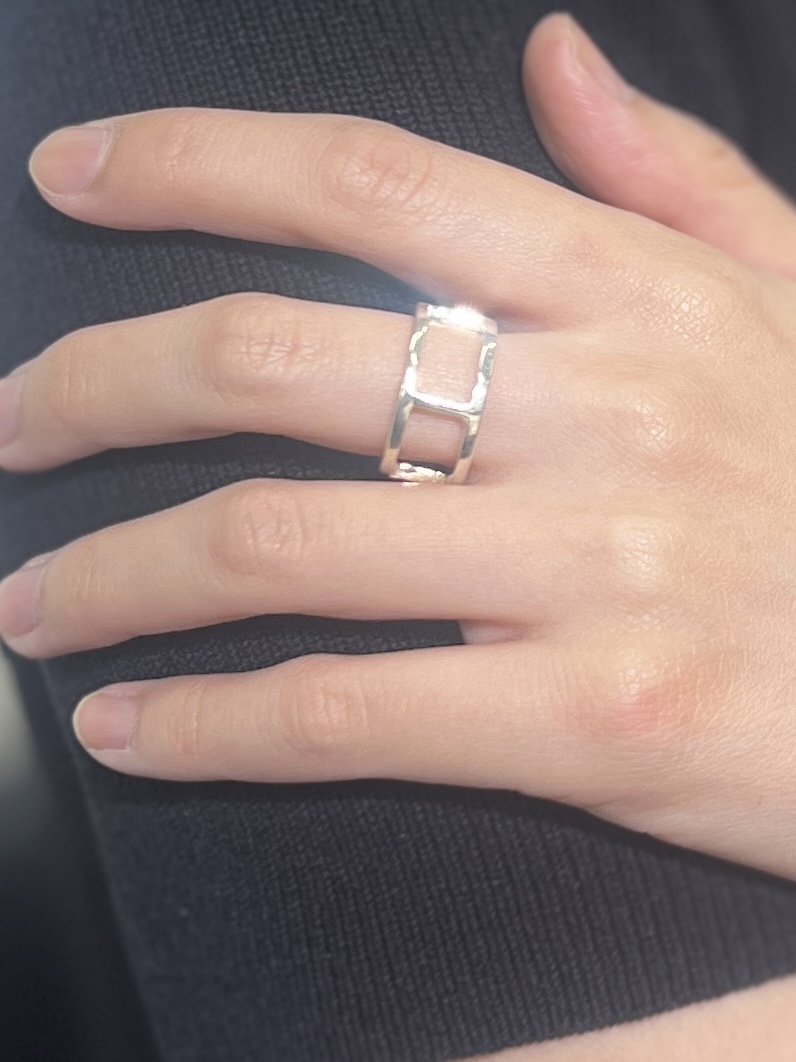 ラダーリング - 画像 (4)